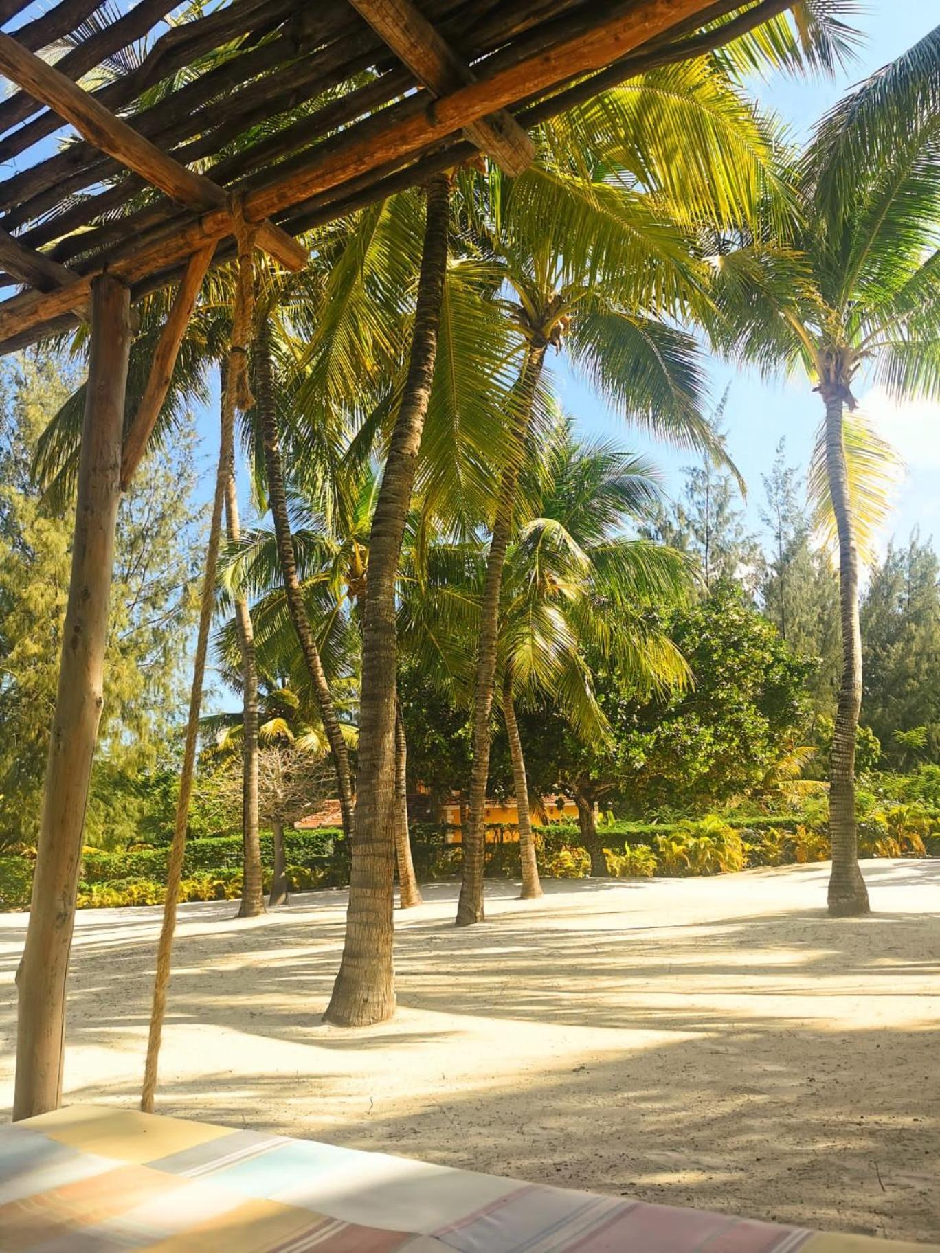Bed and Breakfast Zumzum Beach House à Kinondo Extérieur photo